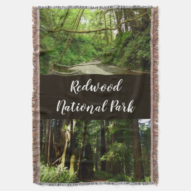 Redwoods und Ferns im Redwood-Nationalpark Decke (Vorderseite Vertikal)