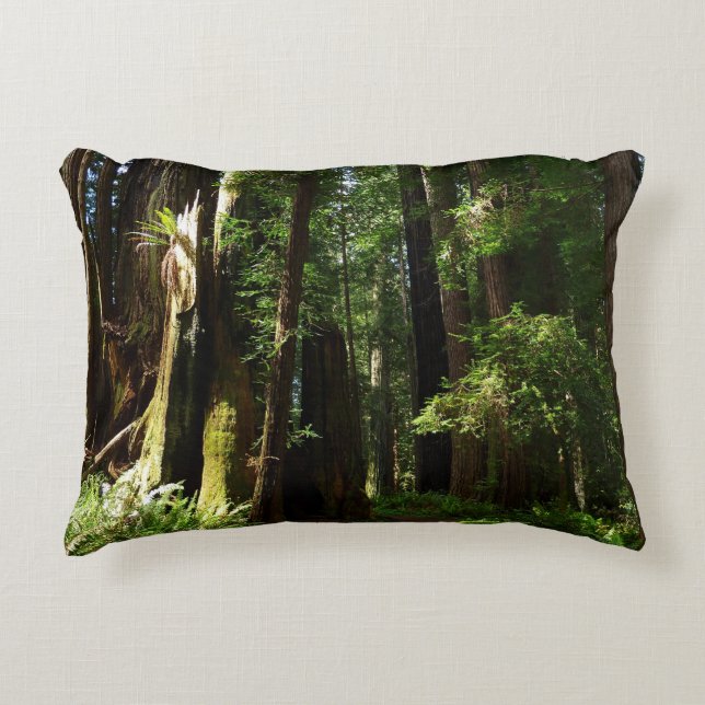 Redwoods und Ferns im Redwood-Nationalpark Dekokissen (Vorderseite)