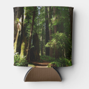 Redwoods und Ferns im Redwood-Nationalpark Dosenkühler