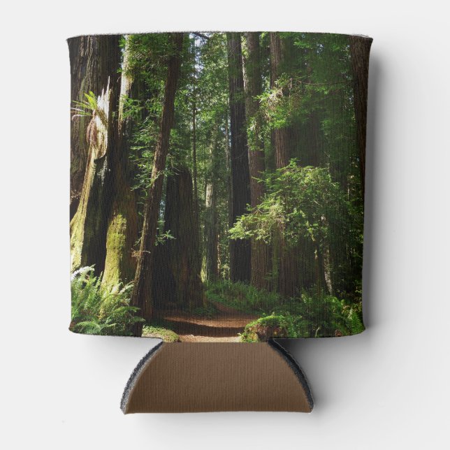 Redwoods und Ferns im Redwood-Nationalpark Dosenkühler (Vorderseite)