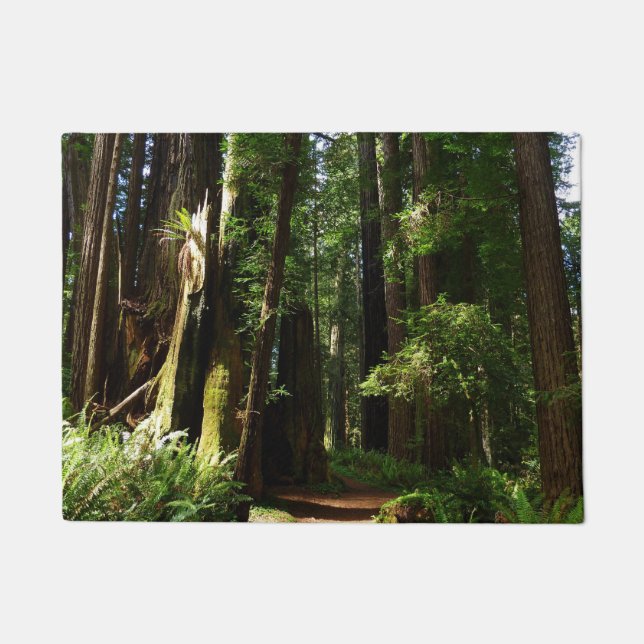 Redwoods und Ferns im Redwood-Nationalpark Fußmatte (Vorderseite)