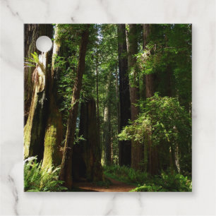 Redwoods und Ferns im Redwood-Nationalpark Geschenkanhänger