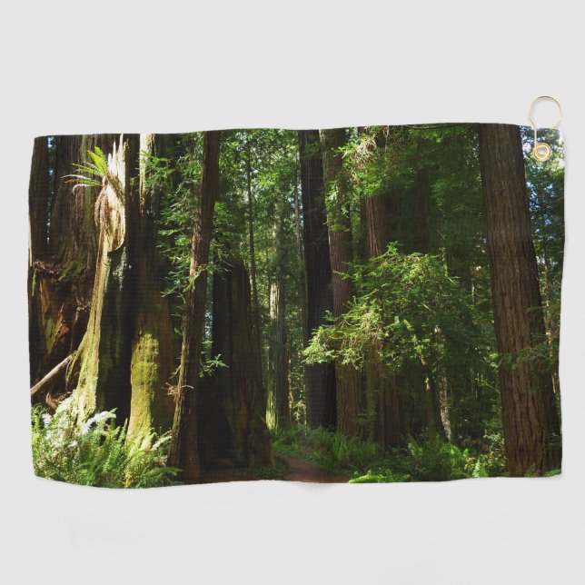 Redwoods und Ferns im Redwood-Nationalpark Golfhandtuch (Horizontal)