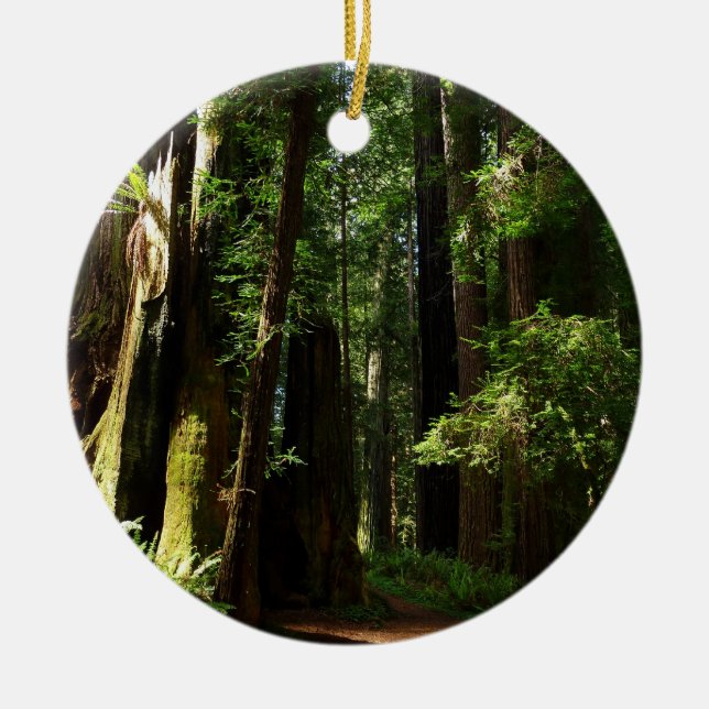 Redwoods und Ferns im Redwood-Nationalpark Keramikornament (Vorne)