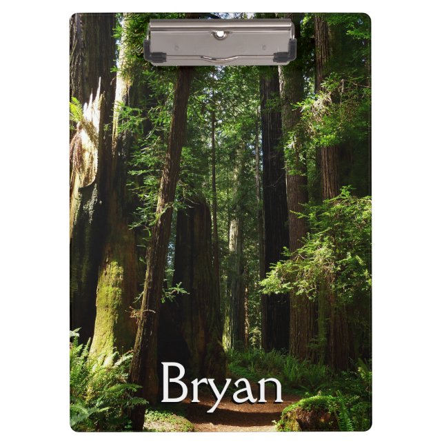 Redwoods und Ferns im Redwood-Nationalpark Klemmbrett (Vorderseite)