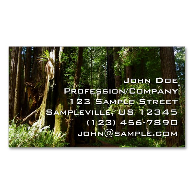 Redwoods und Ferns im Redwood-Nationalpark Magnetische Visitenkarte (Vorderseite)
