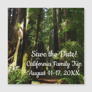 Redwoods und Ferns im Redwood-Nationalpark Magnetkarte