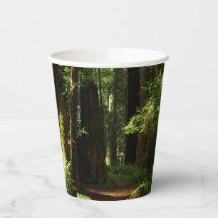 Redwoods und Ferns im Redwood-Nationalpark Pappbecher