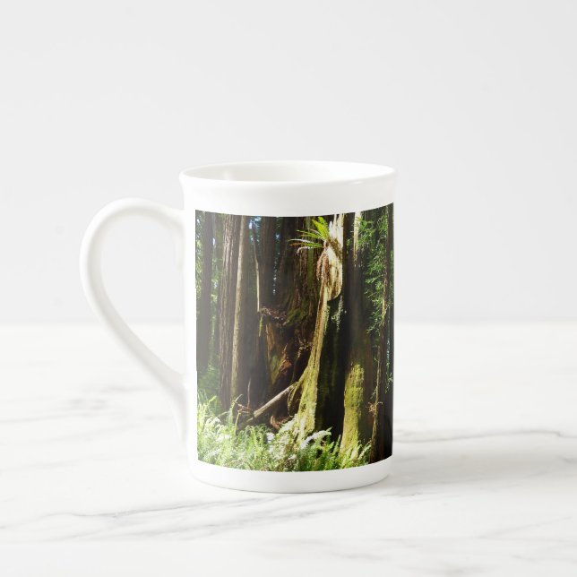 Redwoods und Ferns im Redwood-Nationalpark Prozellantasse (Links)