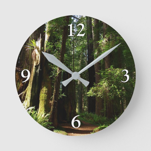 Redwoods und Ferns im Redwood-Nationalpark Runde Wanduhr (Vorderseite)