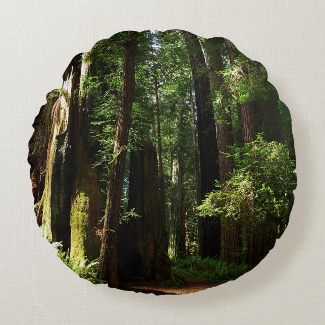 Redwoods und Ferns im Redwood-Nationalpark Rundes Kissen (Vorderseite)