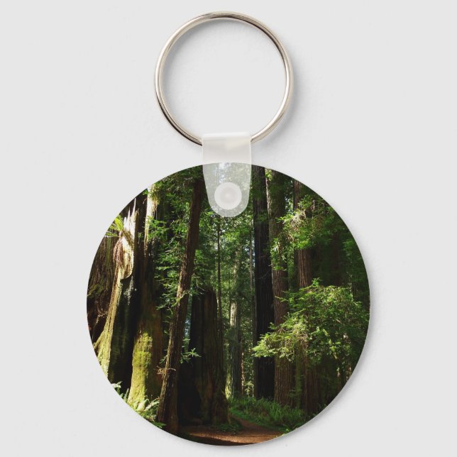 Redwoods und Ferns im Redwood-Nationalpark Schlüsselanhänger (Vorderseite)