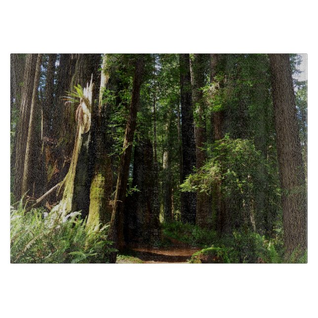 Redwoods und Ferns im Redwood-Nationalpark Schneidebrett (Vorderseite)