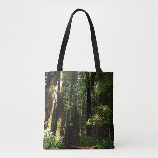 Redwoods und Ferns im Redwood-Nationalpark Tasche (Vorderseite)