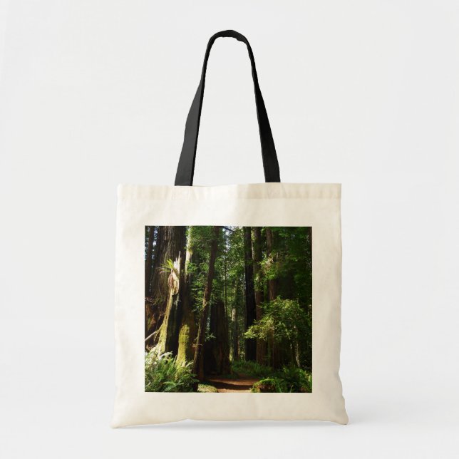 Redwoods und Ferns im Redwood-Nationalpark Tragetasche (Vorne)