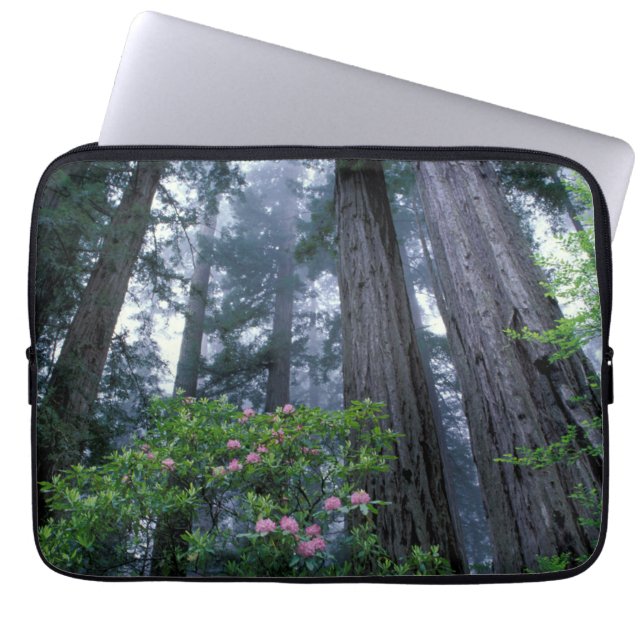 Redwoods und Rhododendren Laptopschutzhülle (Vorderseite)