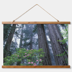 Redwoods und Rhododendren Wandteppich Mit Holzrahmen