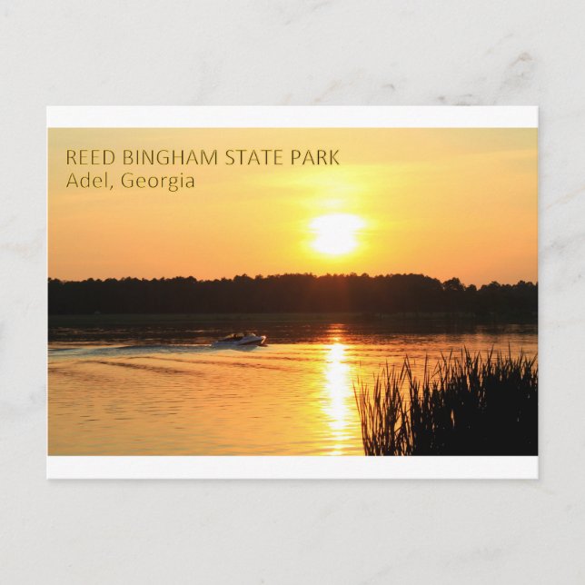 REED BINGHAM STAAT PARK - Adel, Georgien Postkarte (Vorderseite)