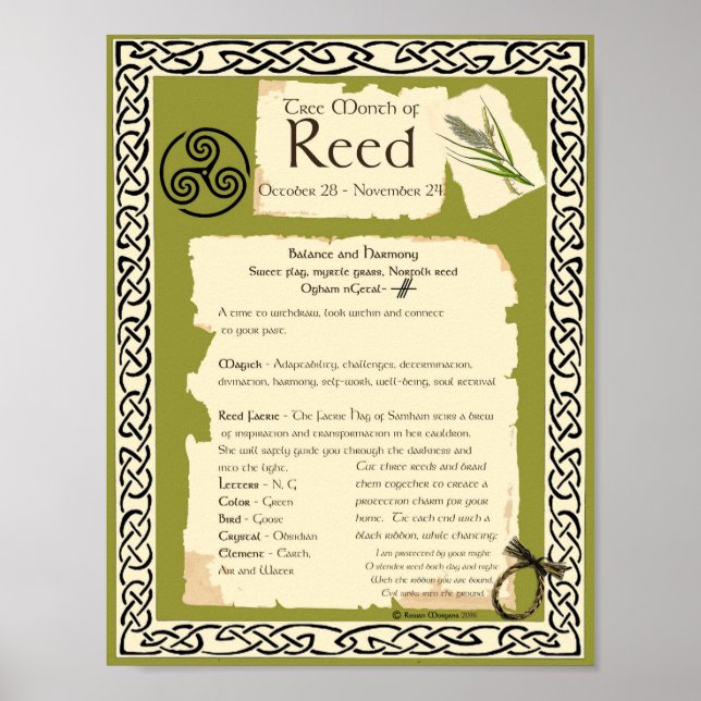 REED CELTIC SACRED TREM POSTER (Vorne)