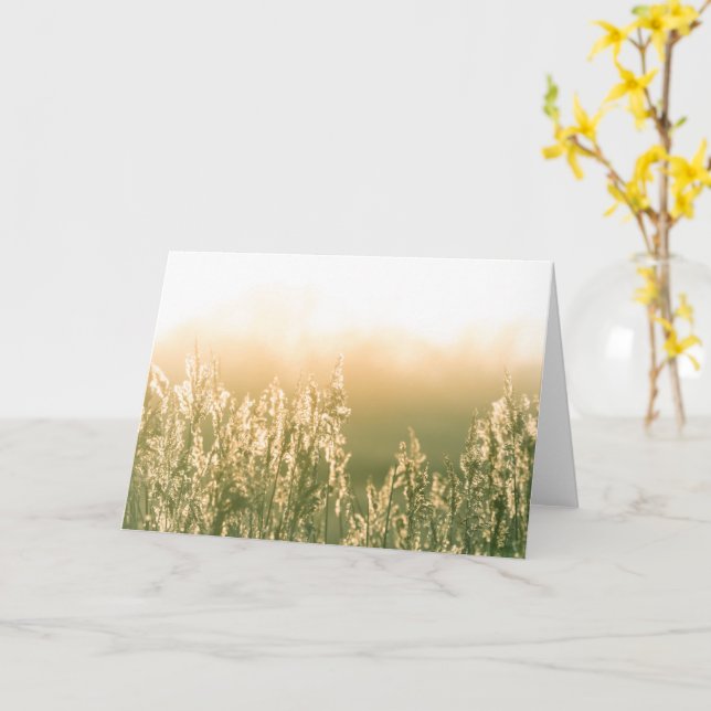 Reed Sunset Nature Foto Karte (Gelbe Blume)
