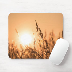 Reed Sunset Nature Foto Mousepad