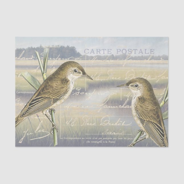 Reed Warbler Bird Marsh Französisch Script Decoupa Seidenpapier (Vorderseite)