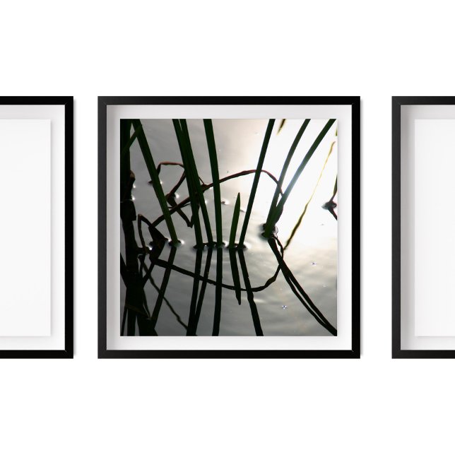 Reeds Reflection Zen Fotografie Poster (Von Creator hochgeladen)