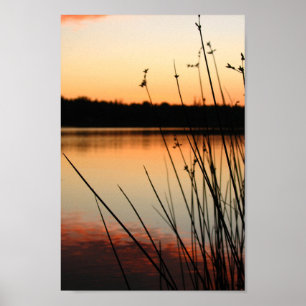 Reeds und Lakeside Reflektion bei Sonnenuntergang Poster