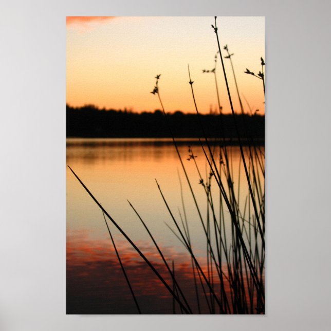Reeds und Lakeside Reflektion bei Sonnenuntergang Poster (Vorne)