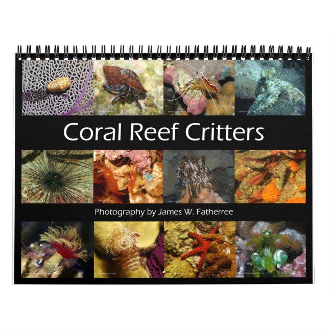 Reef Critters Wall Calendar von J.W. Vater. Kalender (Titelbild)