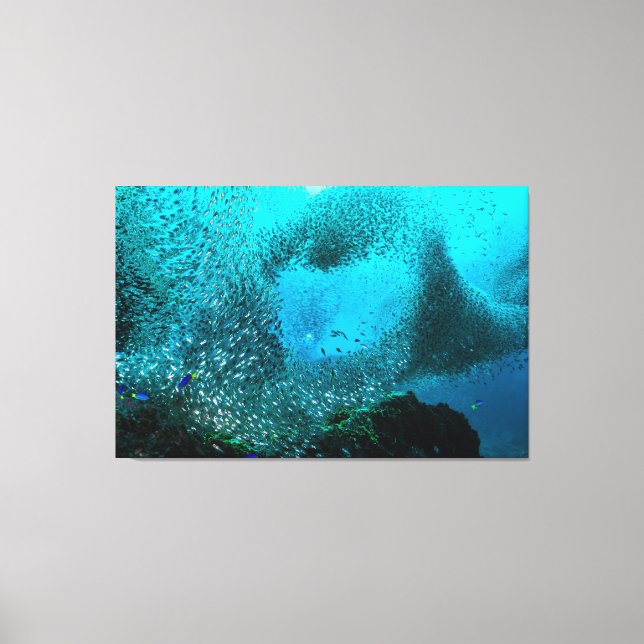 Reef Fish Cloud Leinwanddruck (Vorderseite)