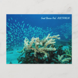 Reef Postcard Postkarte