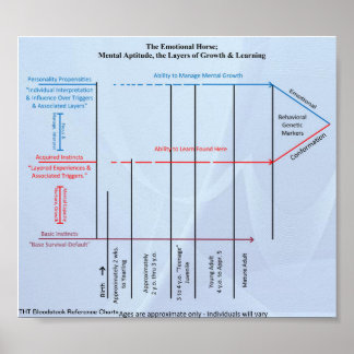 Referenzdiagramm für THT-Blutbestand Herdendynamik Poster