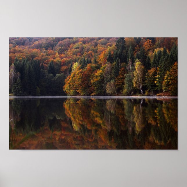 Reflected Colours Poster (Vorne)