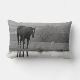 Réflectionz calme ~ Coussin de cheval