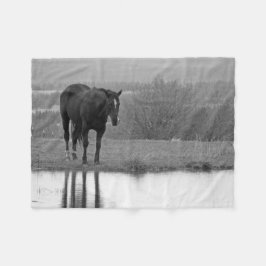 Reflectionz calme ~ Couverture de cheval