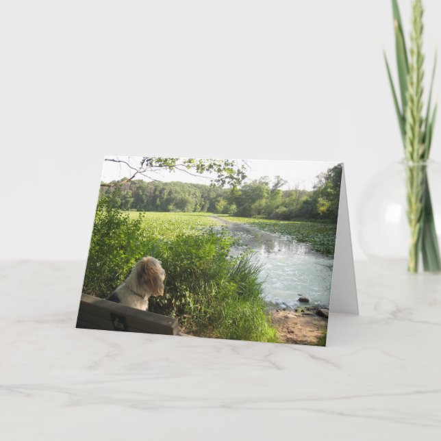 Reflektierende Karte Emmas (Vorderseite)