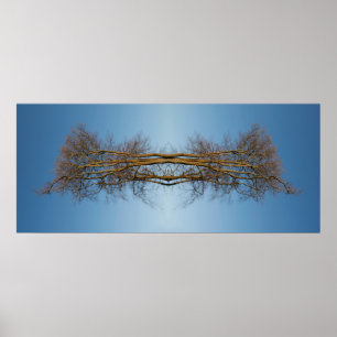 Reflektierte Bäume Poster