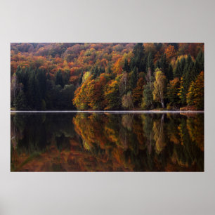 Reflektierte Farben Poster