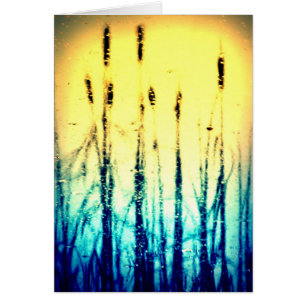 Reflektierter Ruhm