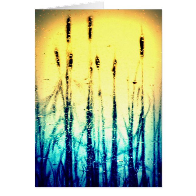 Reflektierter Ruhm (Vorne)