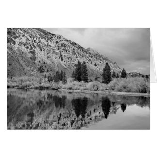 Reflektion