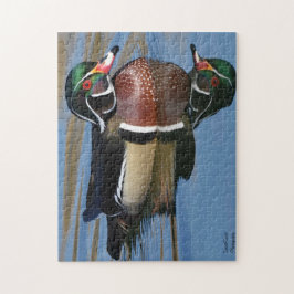 Reflektion bei männlichen Holzherden