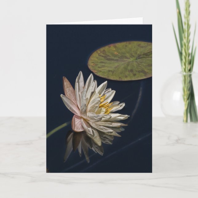 Reflektion der Wasserlilie Karte (Vorderseite)
