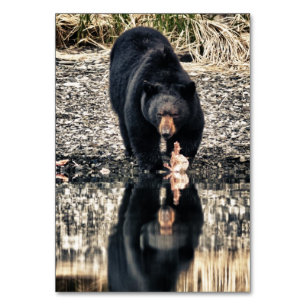 Reflektion des schwarzen Bären Tischnummer