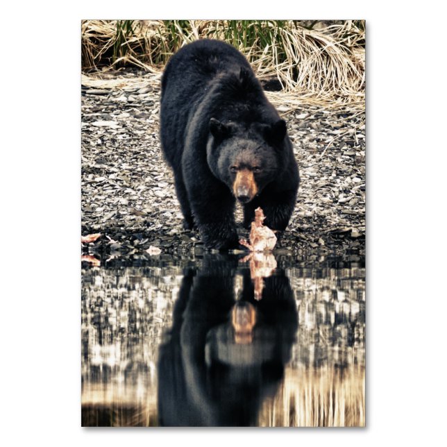 Reflektion des schwarzen Bären Tischnummer (Vorderseite)