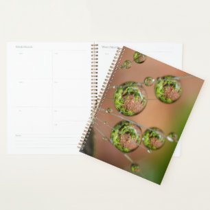 Reflektion des Wassertropfens Planer
