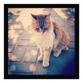 Reflektion Fotodruck