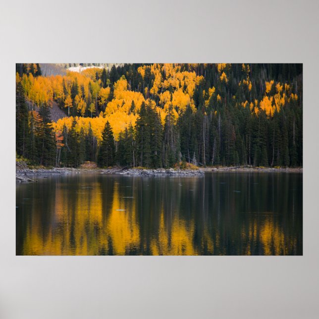 Reflektion Poster (Vorne)