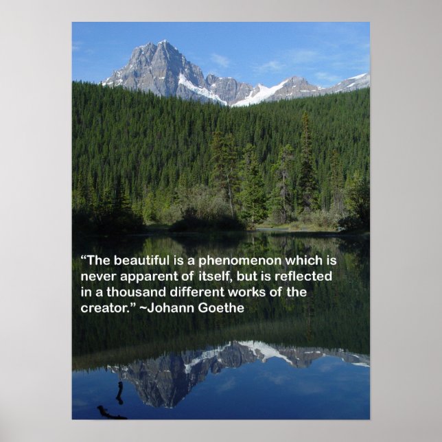 Reflektion Poster (Vorne)